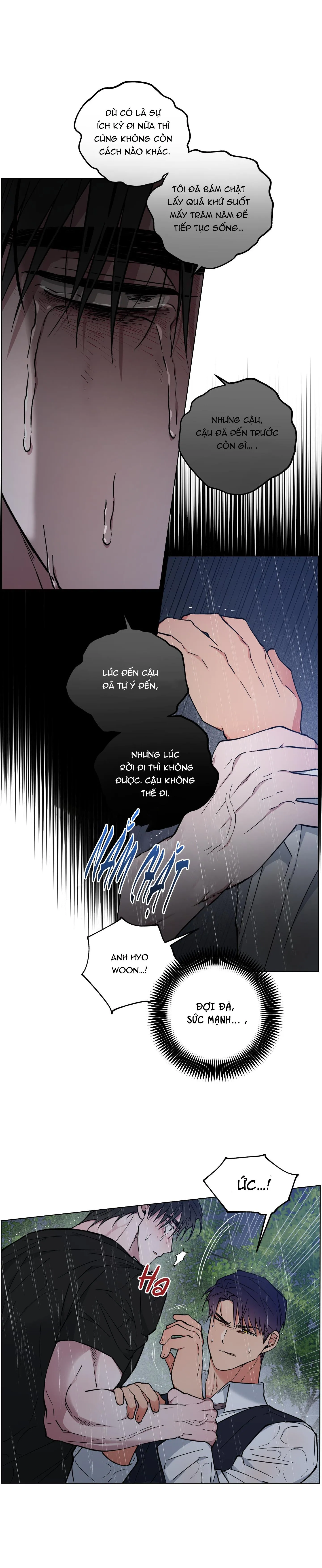 BÌNH MINH CỦA RỒNG Chapter 27 Trang 11