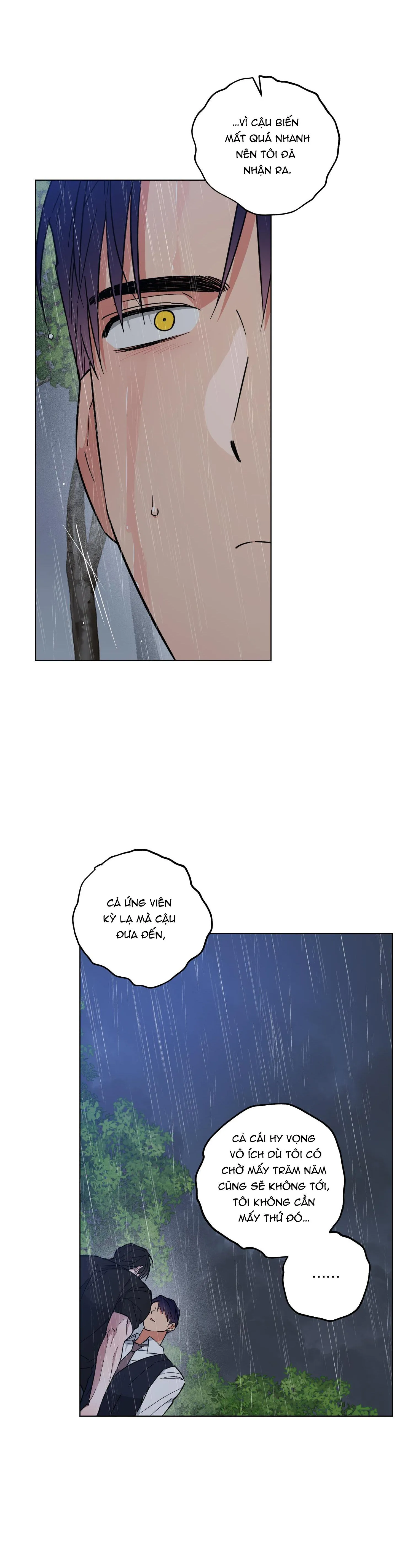 BÌNH MINH CỦA RỒNG Chapter 27 Trang 13