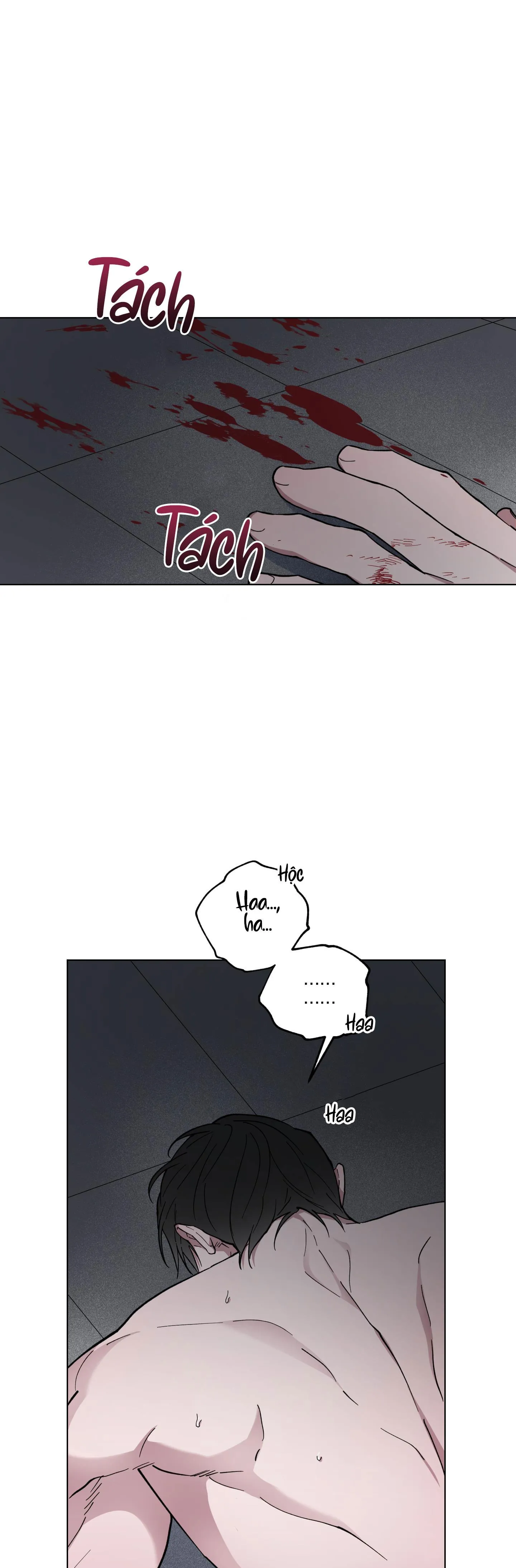 BÌNH MINH CỦA RỒNG Chapter 29 Trang 41