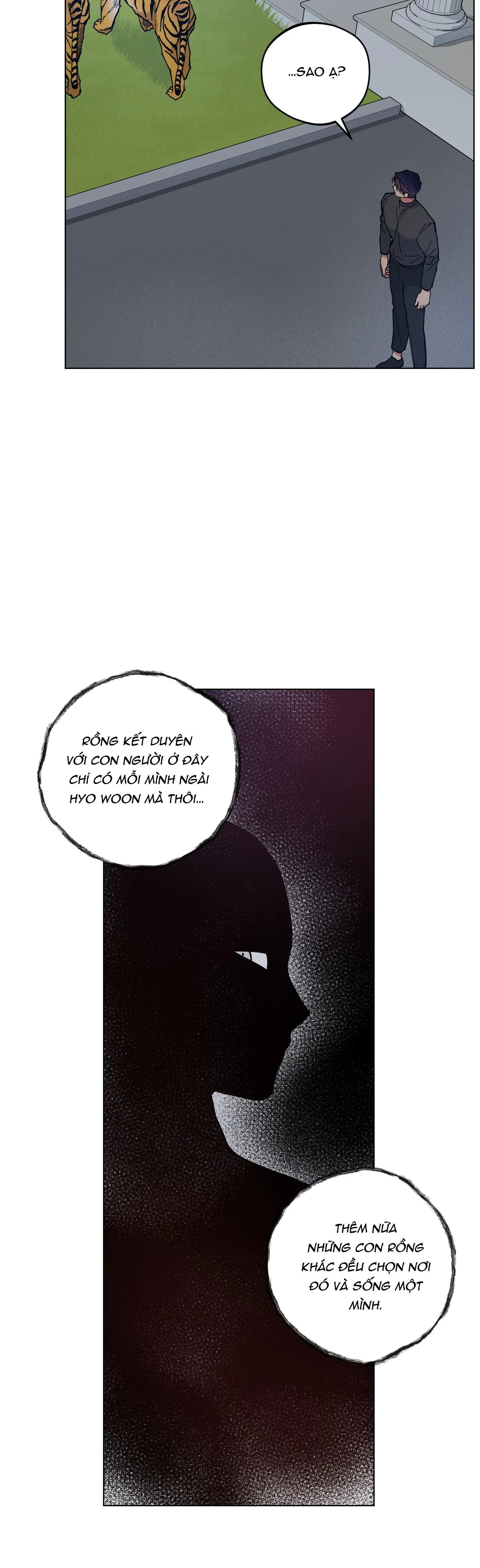 BÌNH MINH CỦA RỒNG Chapter 31 Trang 28