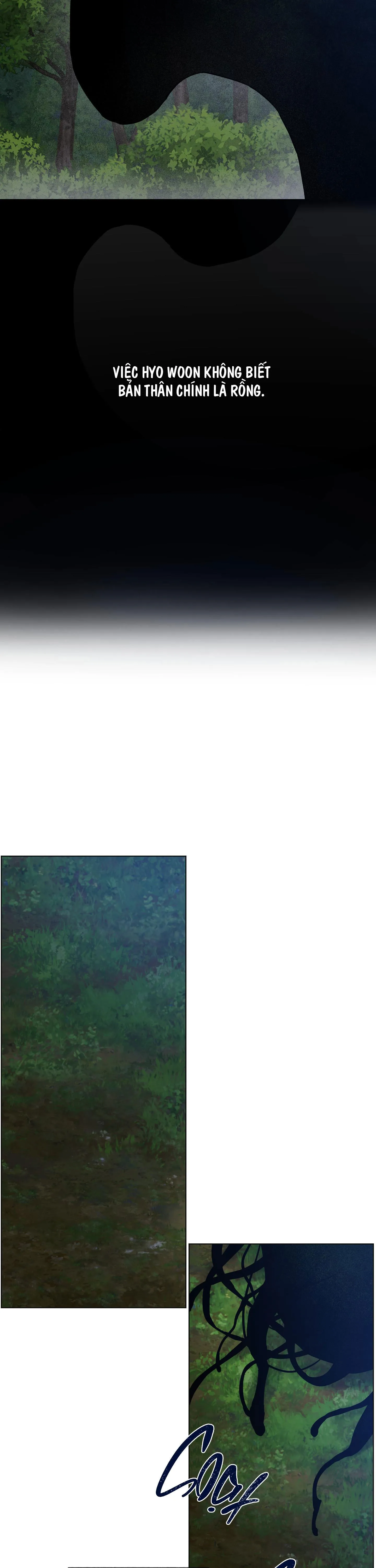BÌNH MINH CỦA RỒNG Chapter 34 Trang 9