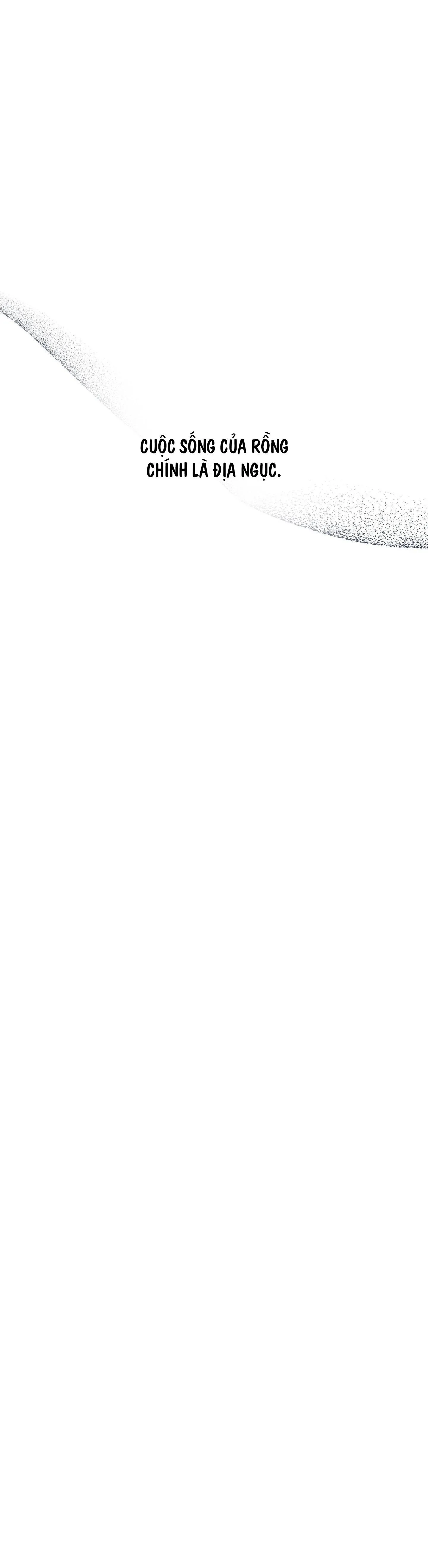 BÌNH MINH CỦA RỒNG Chapter 56 Trang 15