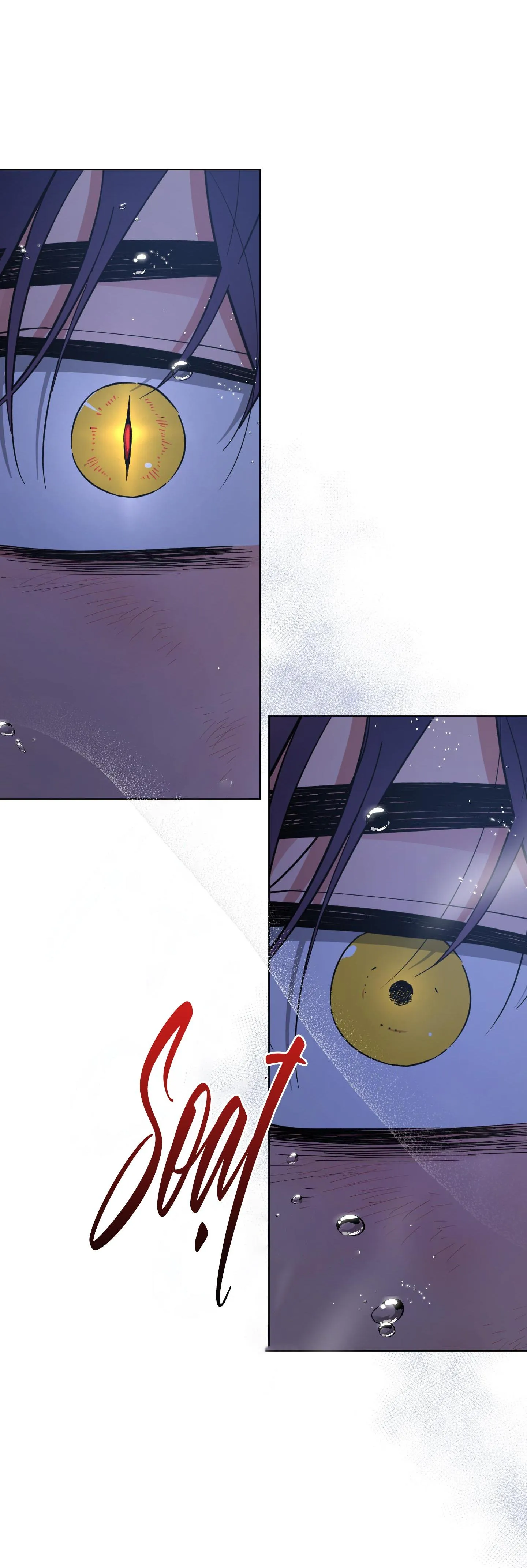 BÌNH MINH CỦA RỒNG Chapter 66 Trang 50