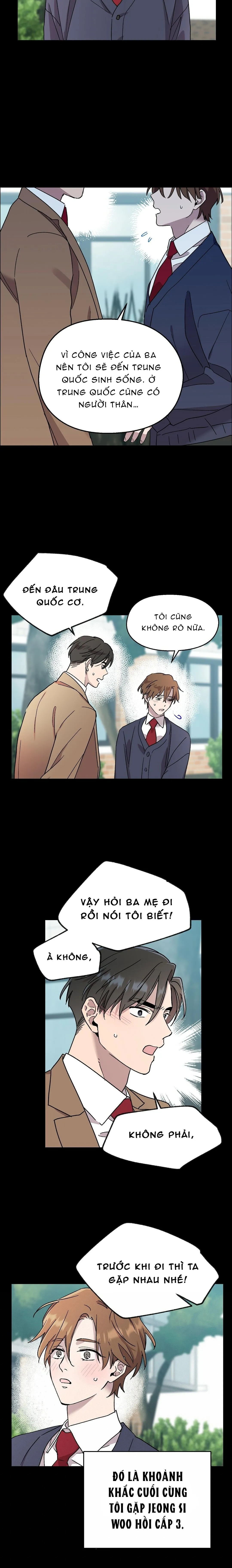 Bitter Sweet Darling Chapter 11 Trang 11