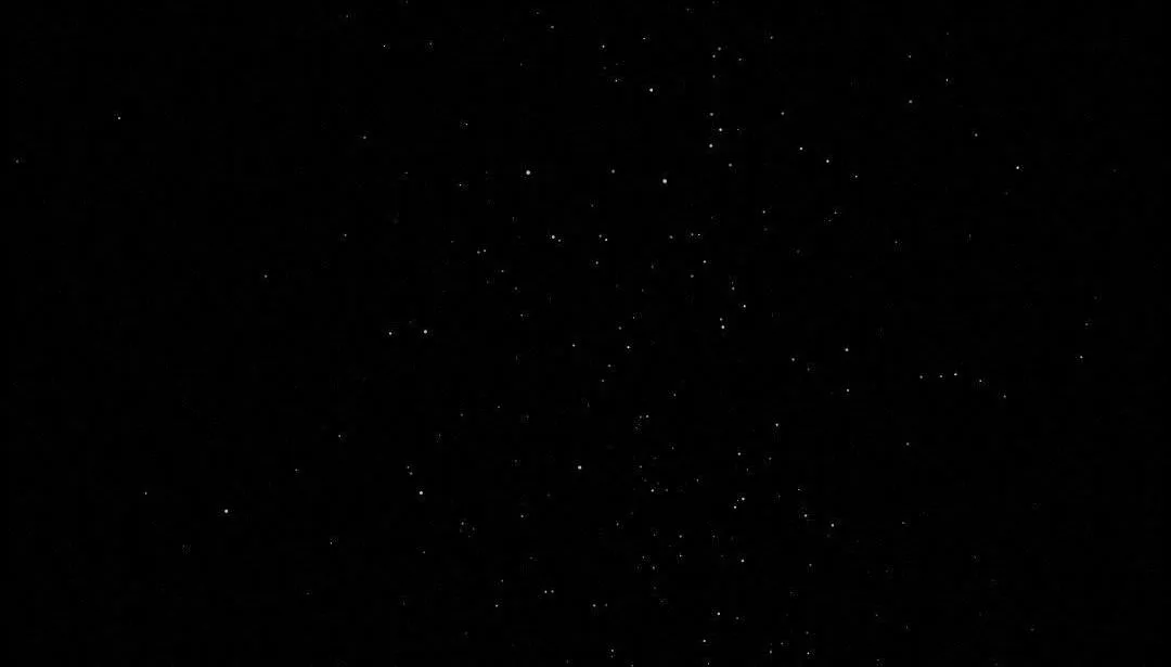 Bitter Sweet Darling Chapter 14 Trang 42