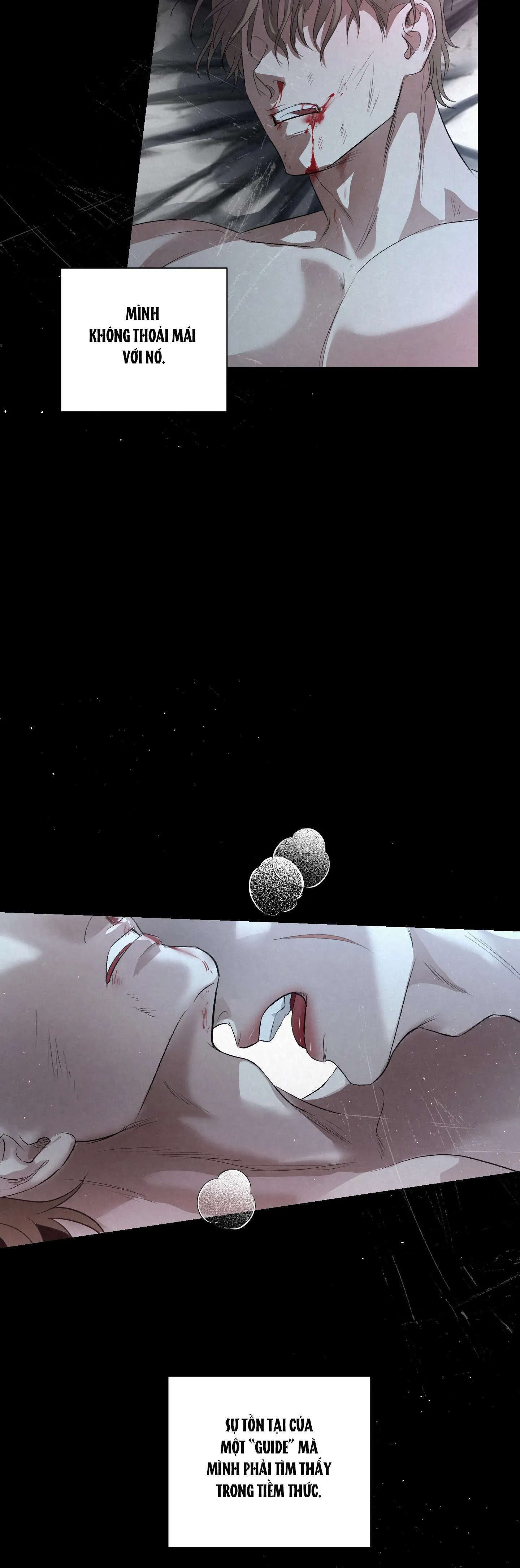BLOOD GUIDE Chapter 1 Trang 18