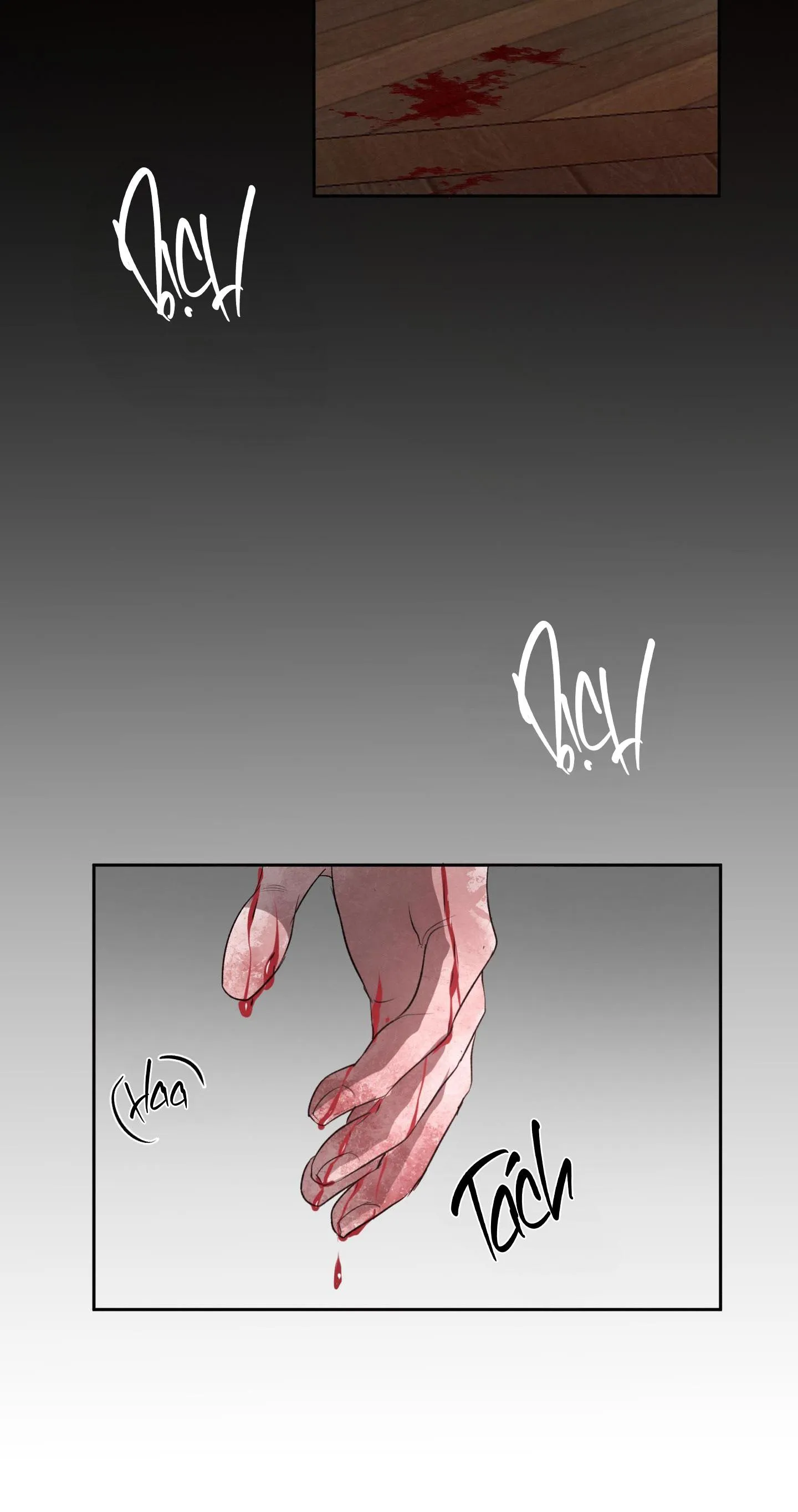 BLOOD GUIDE Chapter 12 Trang 14