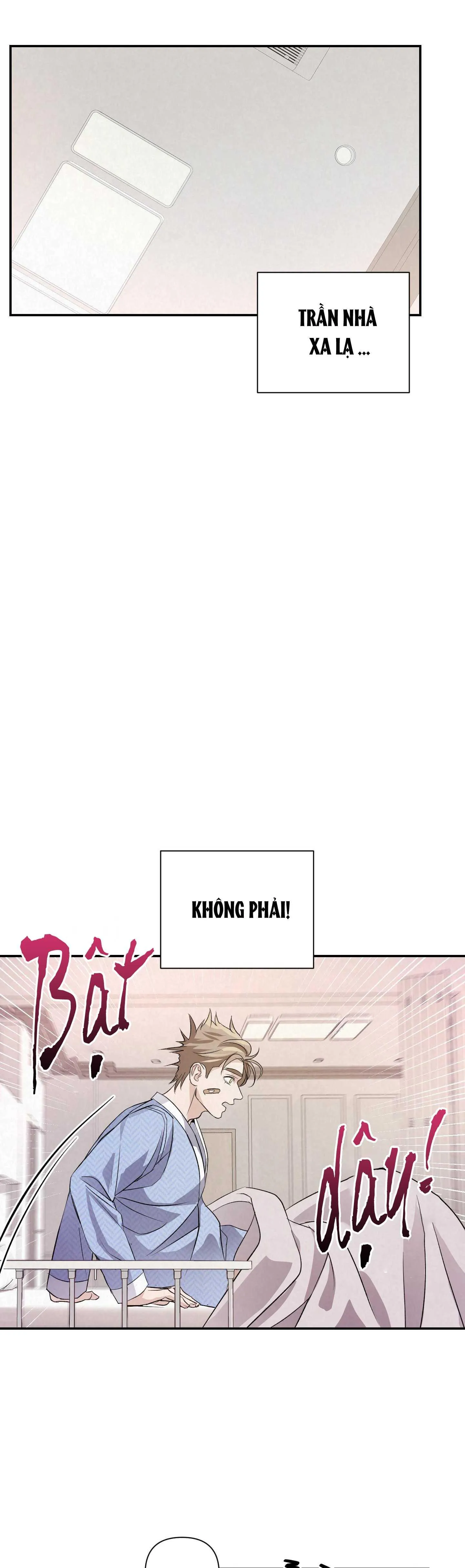 BLOOD GUIDE Chapter 2 Trang 4