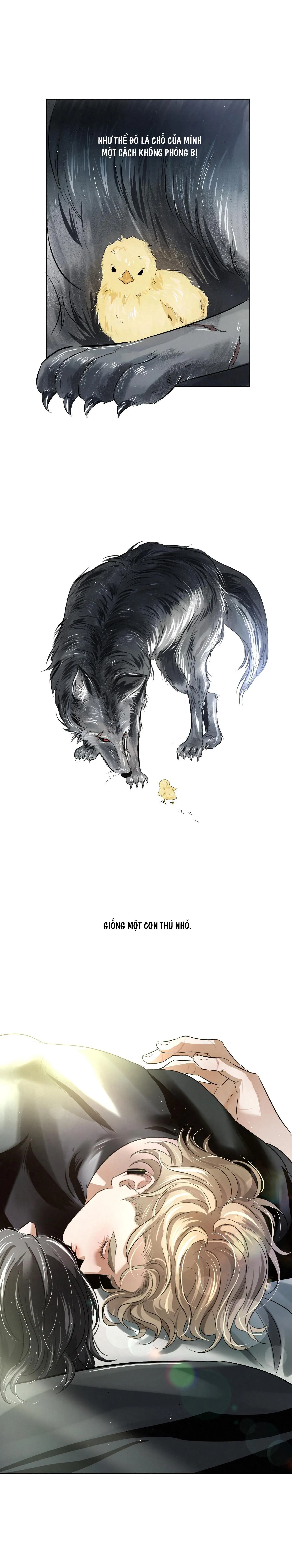 BLOOD GUIDE Chapter 24 Trang 27