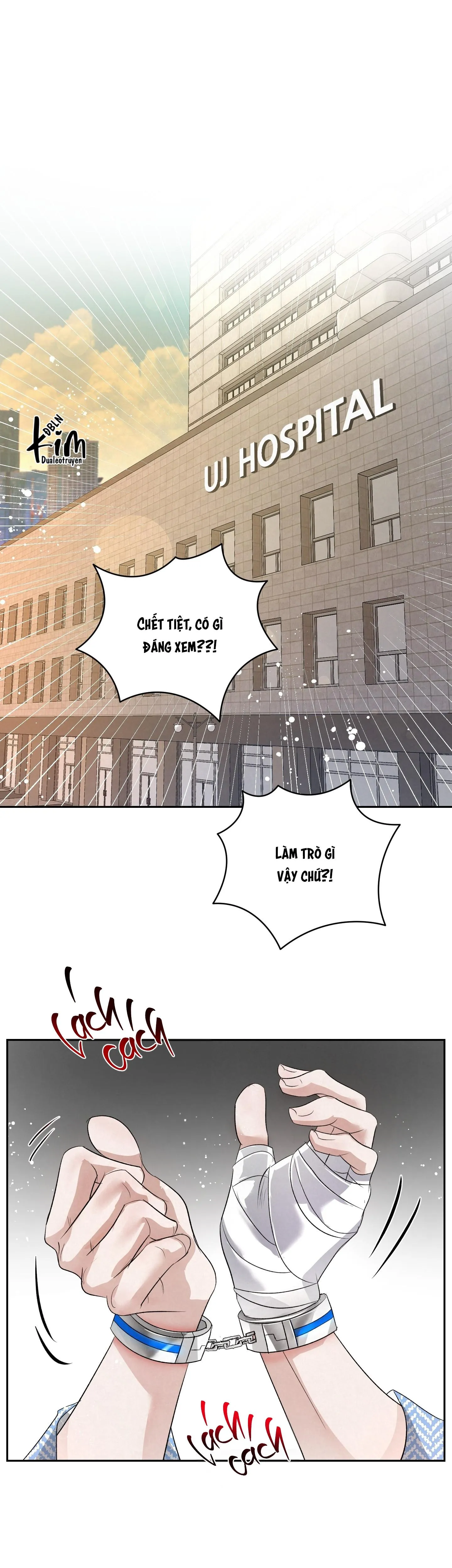 BLOOD GUIDE Chapter 33 Trang 11