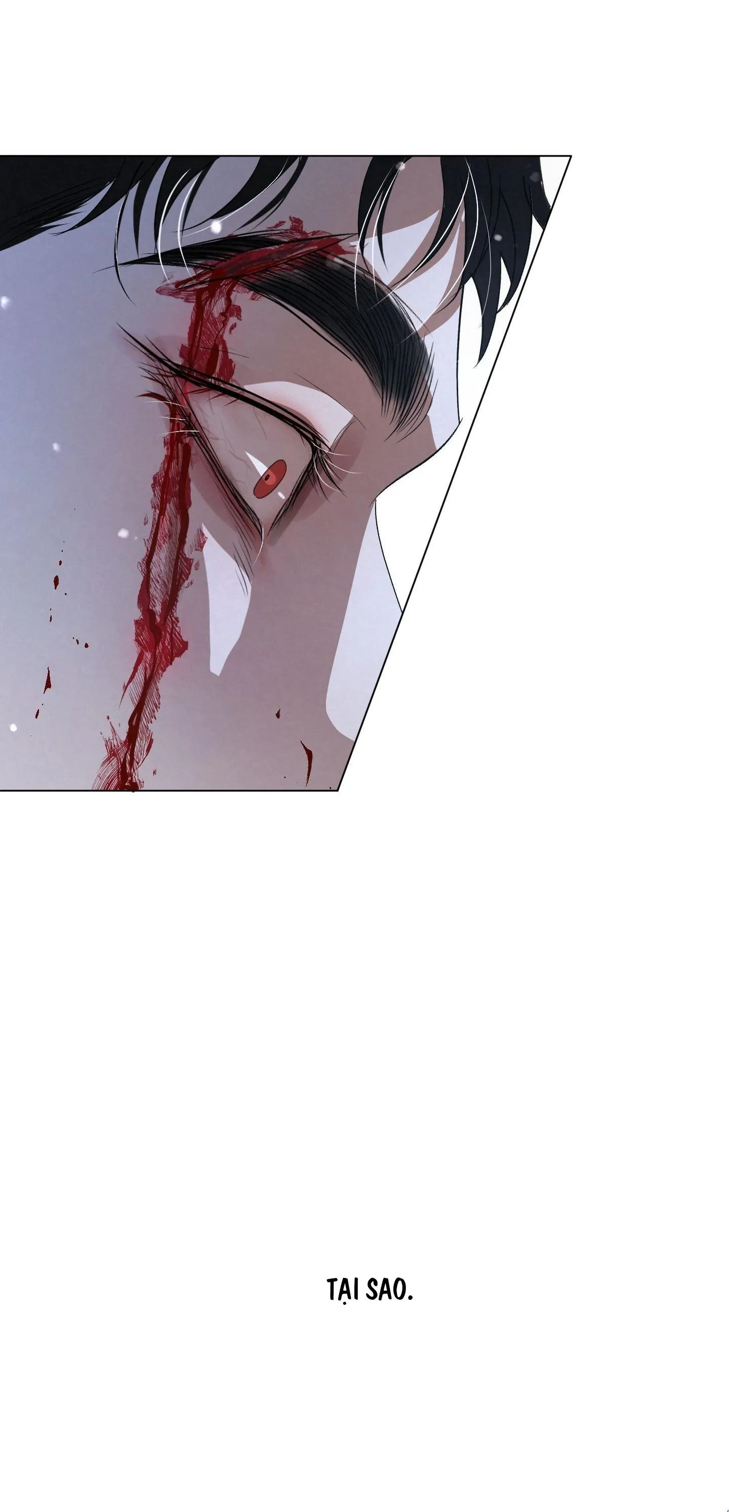 BLOOD GUIDE Chapter 43 Trang 81