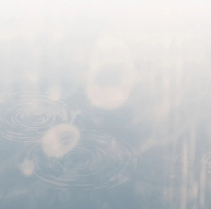 Biscuit Chapter 13 Trang 27