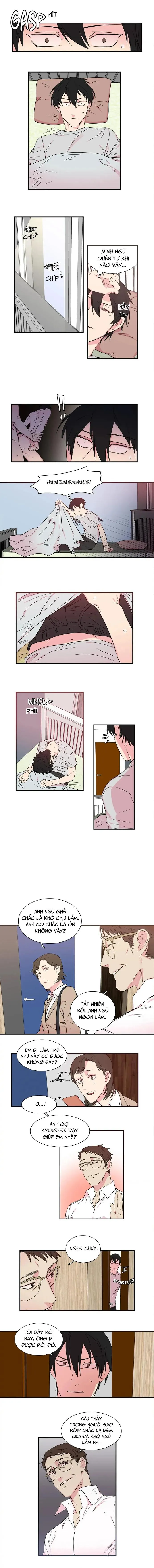 Bố đường Chapter 11 Trang 3