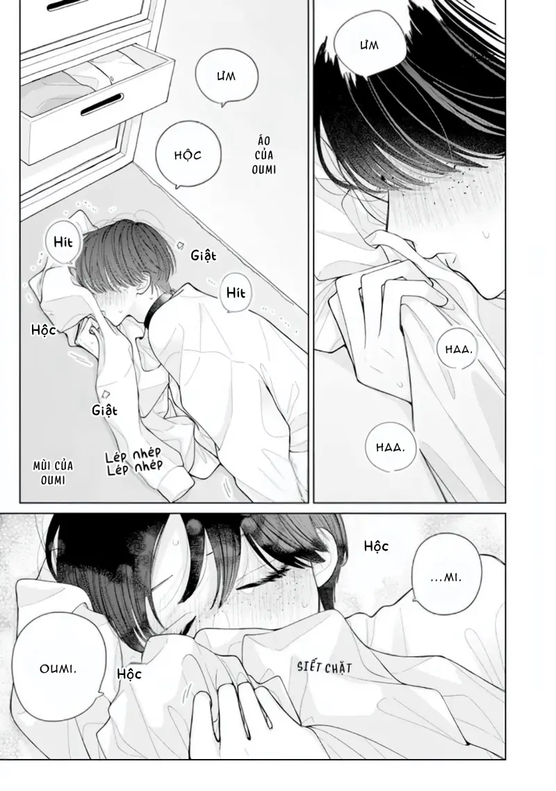 Bó Hoa Dành Dành Và Sắc Xanh Mong Manh Chapter 5 Trang 7