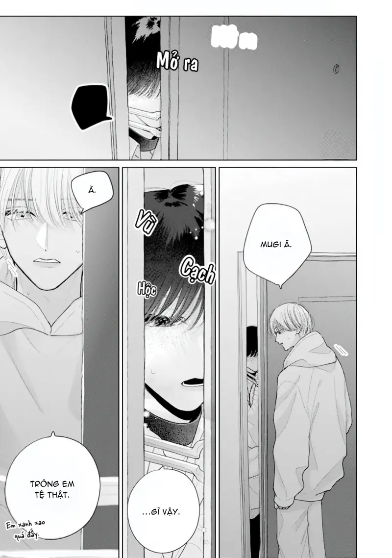 Bó Hoa Dành Dành Và Sắc Xanh Mong Manh Chapter 5 Trang 19