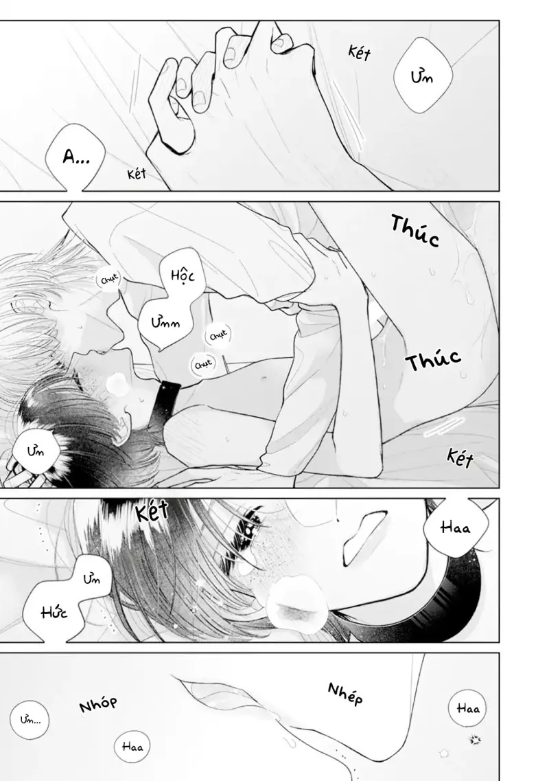 Bó Hoa Dành Dành Và Sắc Xanh Mong Manh Chapter 6 Trang 17