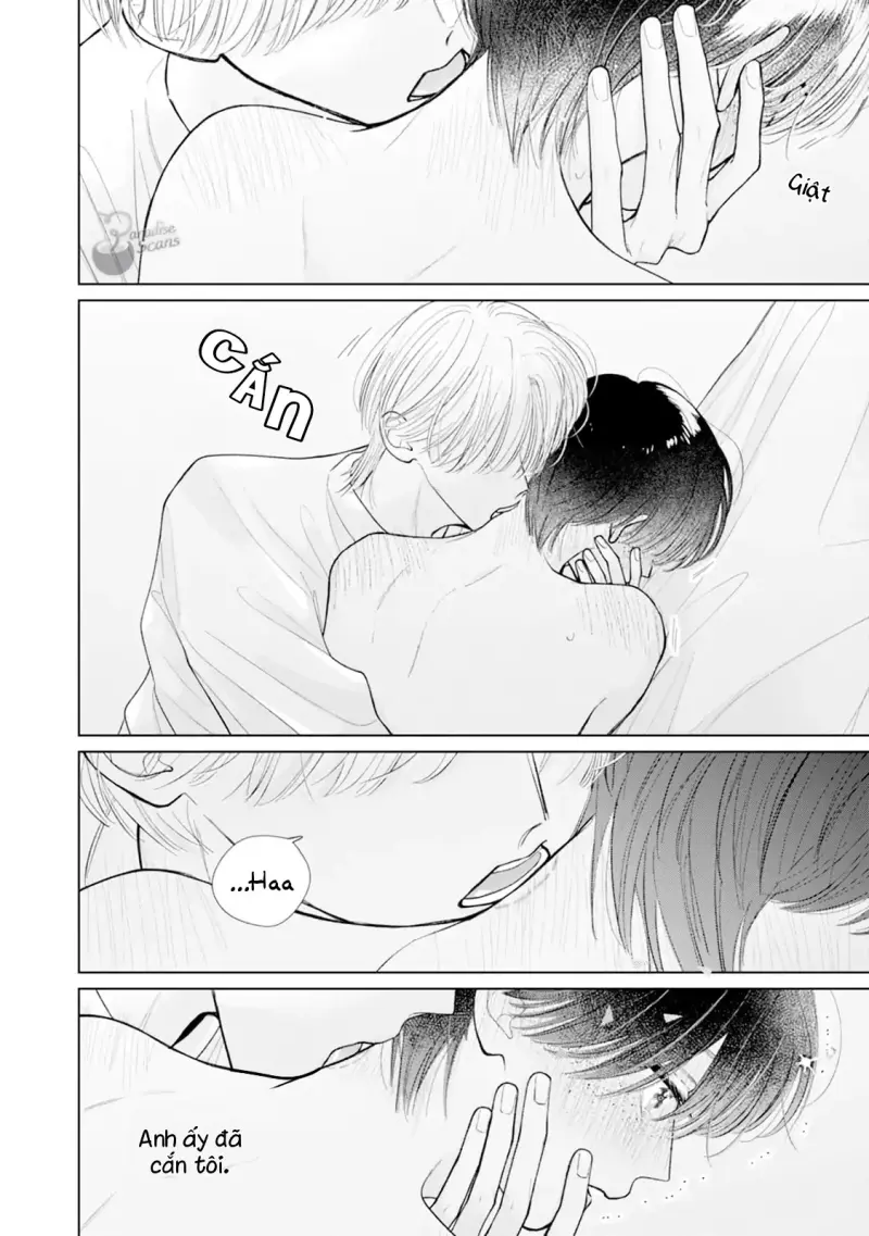 Bó Hoa Dành Dành Và Sắc Xanh Mong Manh Chapter 6 Trang 21