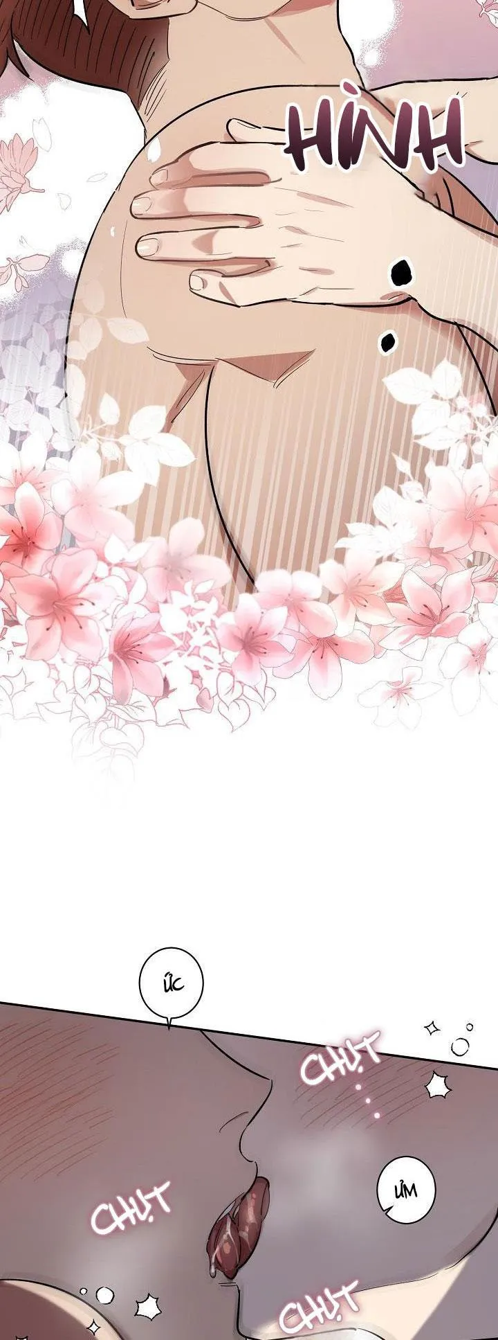 BỘ NGỰC GÂY PHIỀN TOÁI CHO OTAKU Chapter 5 Trang 11