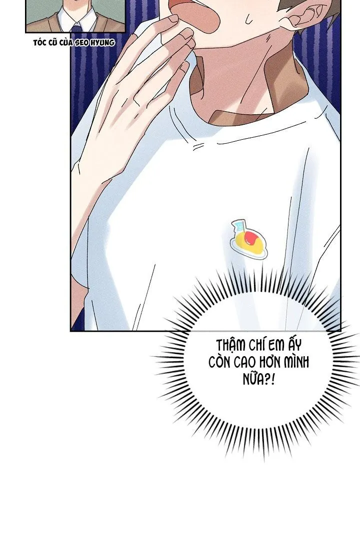 BỘ NHỚ GIẢ DƯỢC Chapter 11 Trang 27