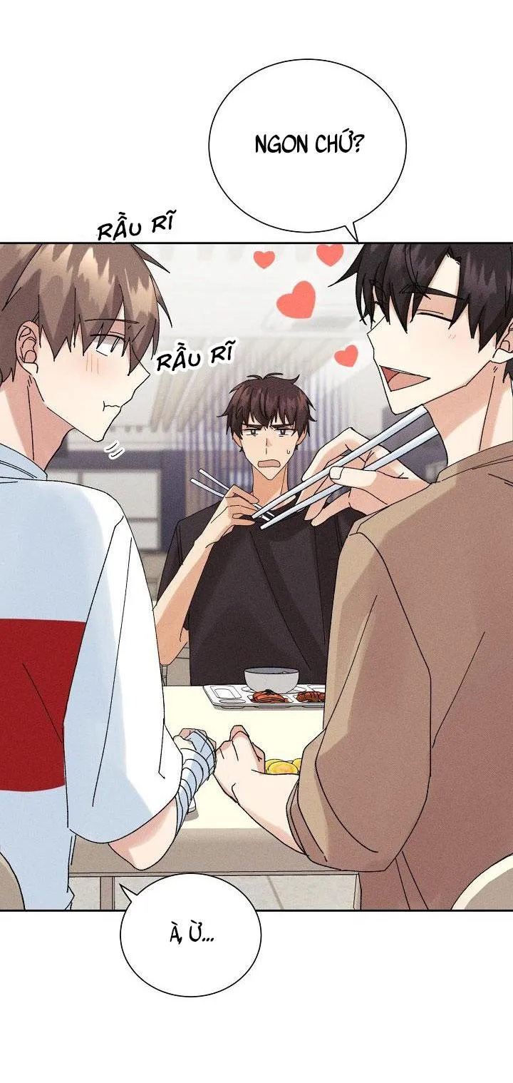 BỘ NHỚ GIẢ DƯỢC Chapter 13 Trang 13