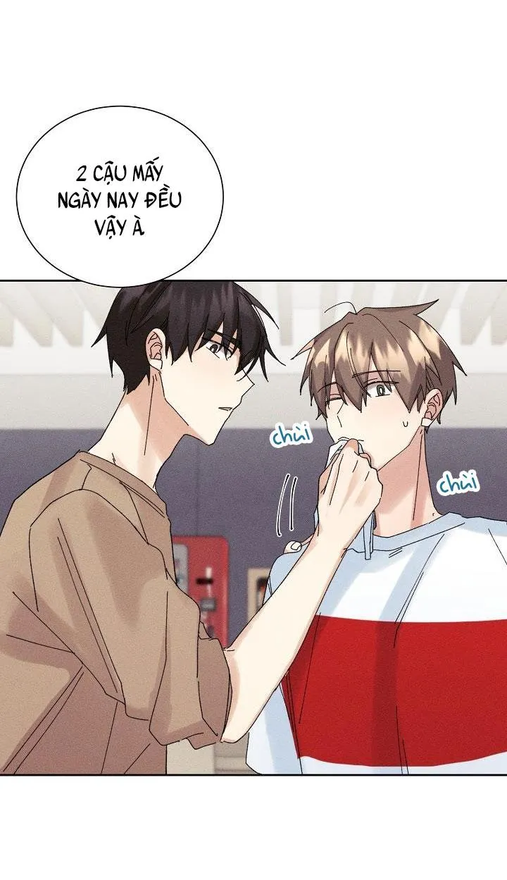 BỘ NHỚ GIẢ DƯỢC Chapter 13 Trang 15