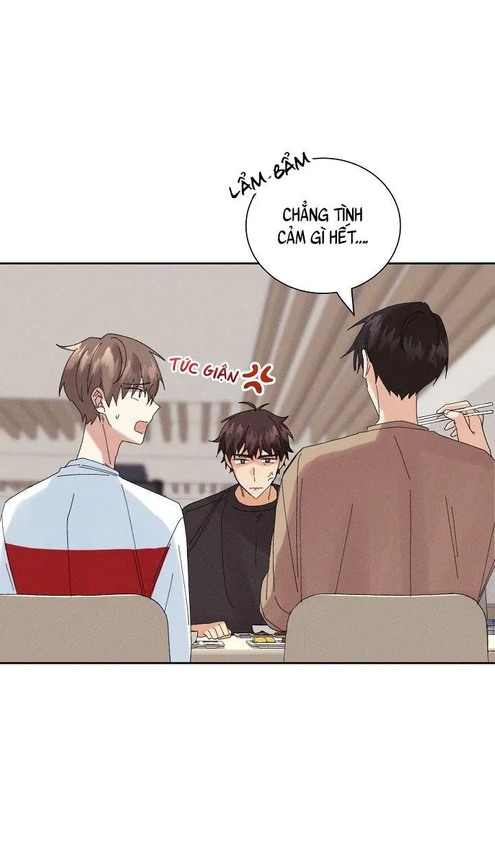 BỘ NHỚ GIẢ DƯỢC Chapter 13 Trang 17