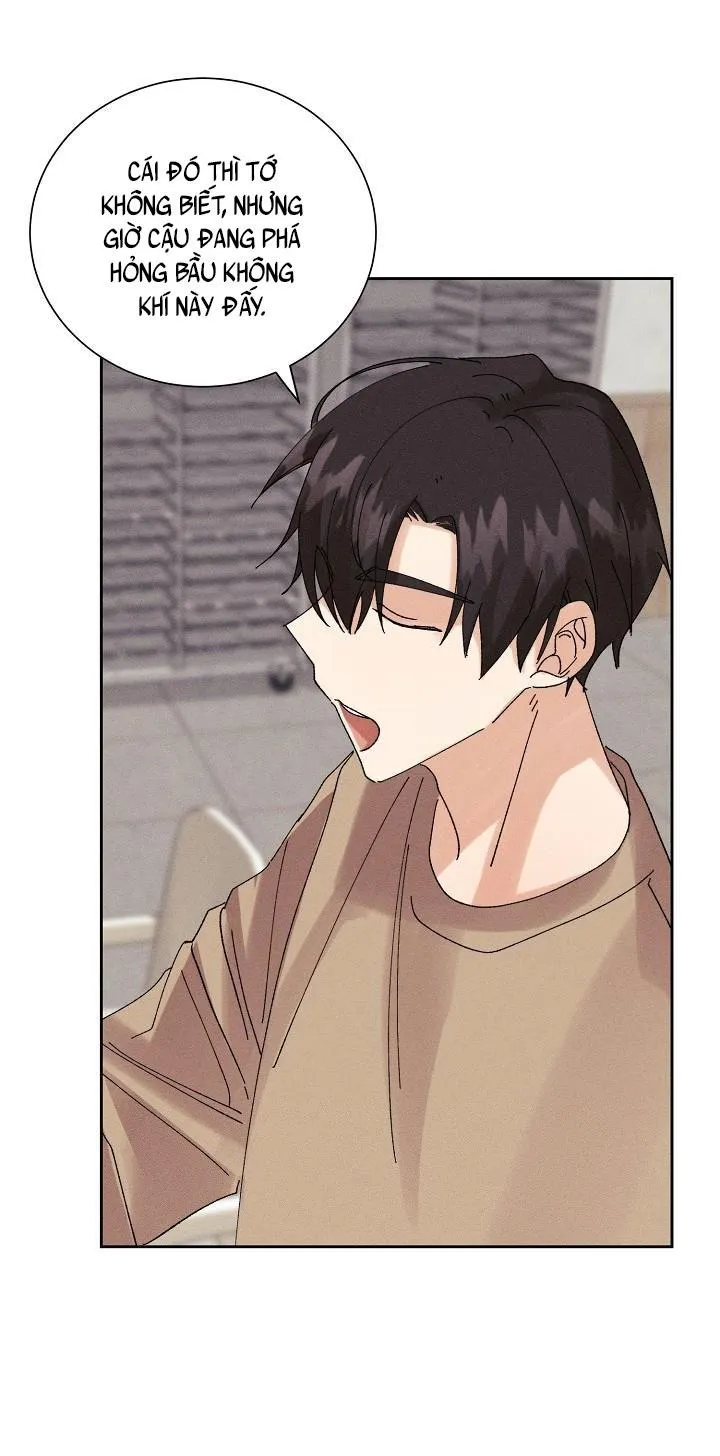 BỘ NHỚ GIẢ DƯỢC Chapter 13 Trang 19