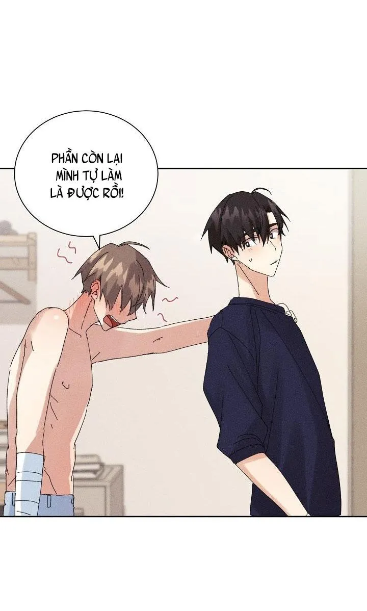 BỘ NHỚ GIẢ DƯỢC Chapter 13 Trang 31