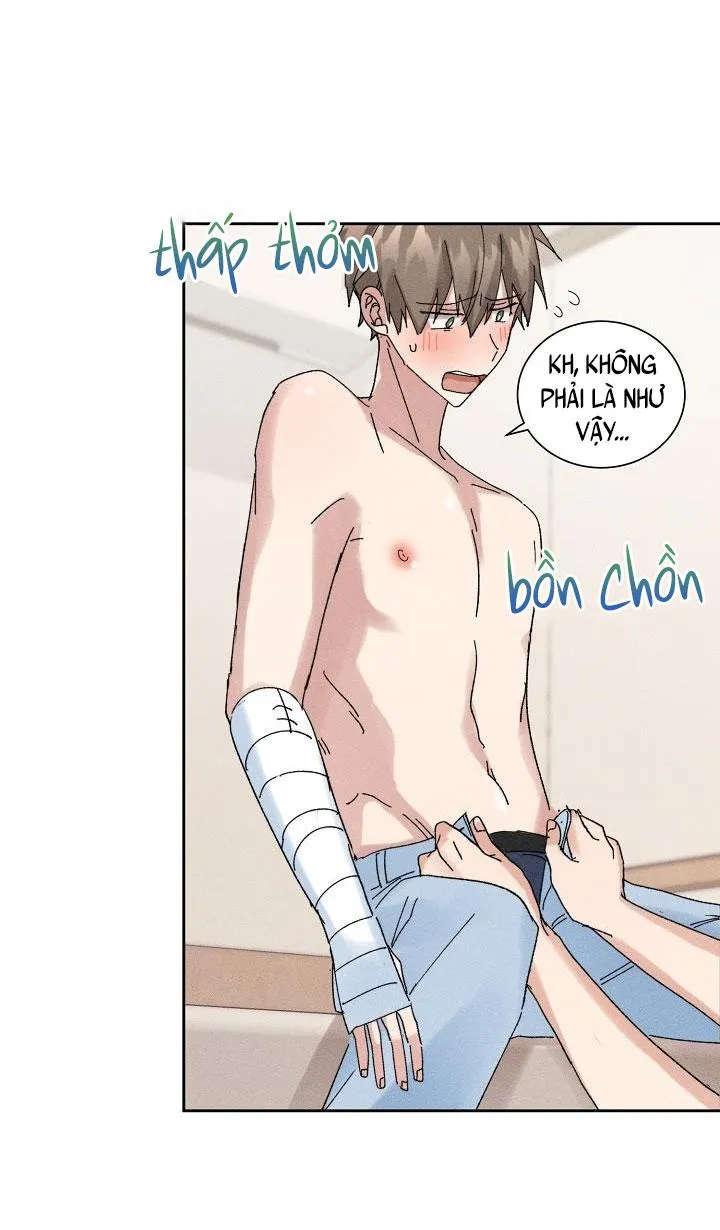 BỘ NHỚ GIẢ DƯỢC Chapter 13 Trang 37