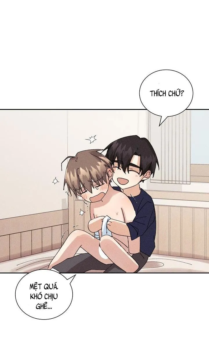 BỘ NHỚ GIẢ DƯỢC Chapter 13 Trang 47