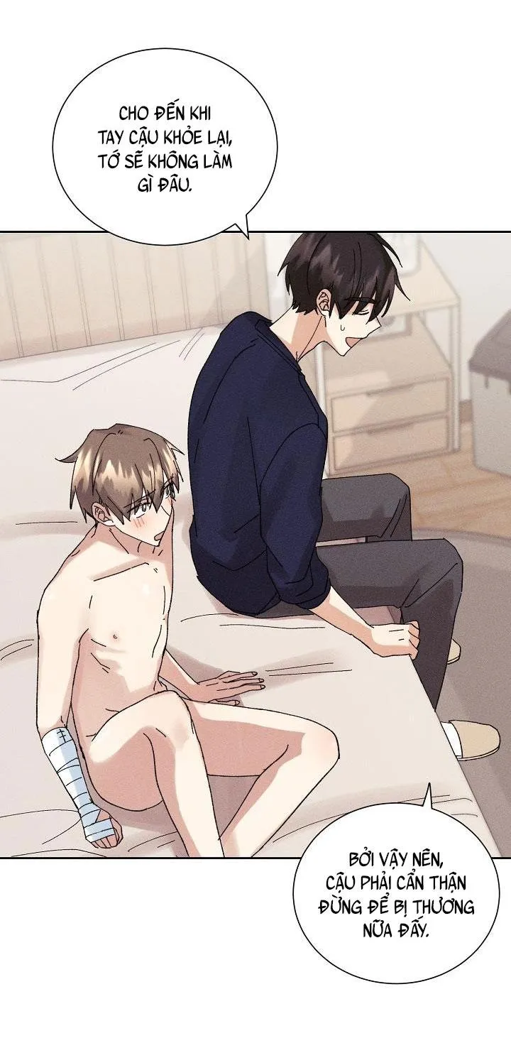 BỘ NHỚ GIẢ DƯỢC Chapter 13 Trang 51