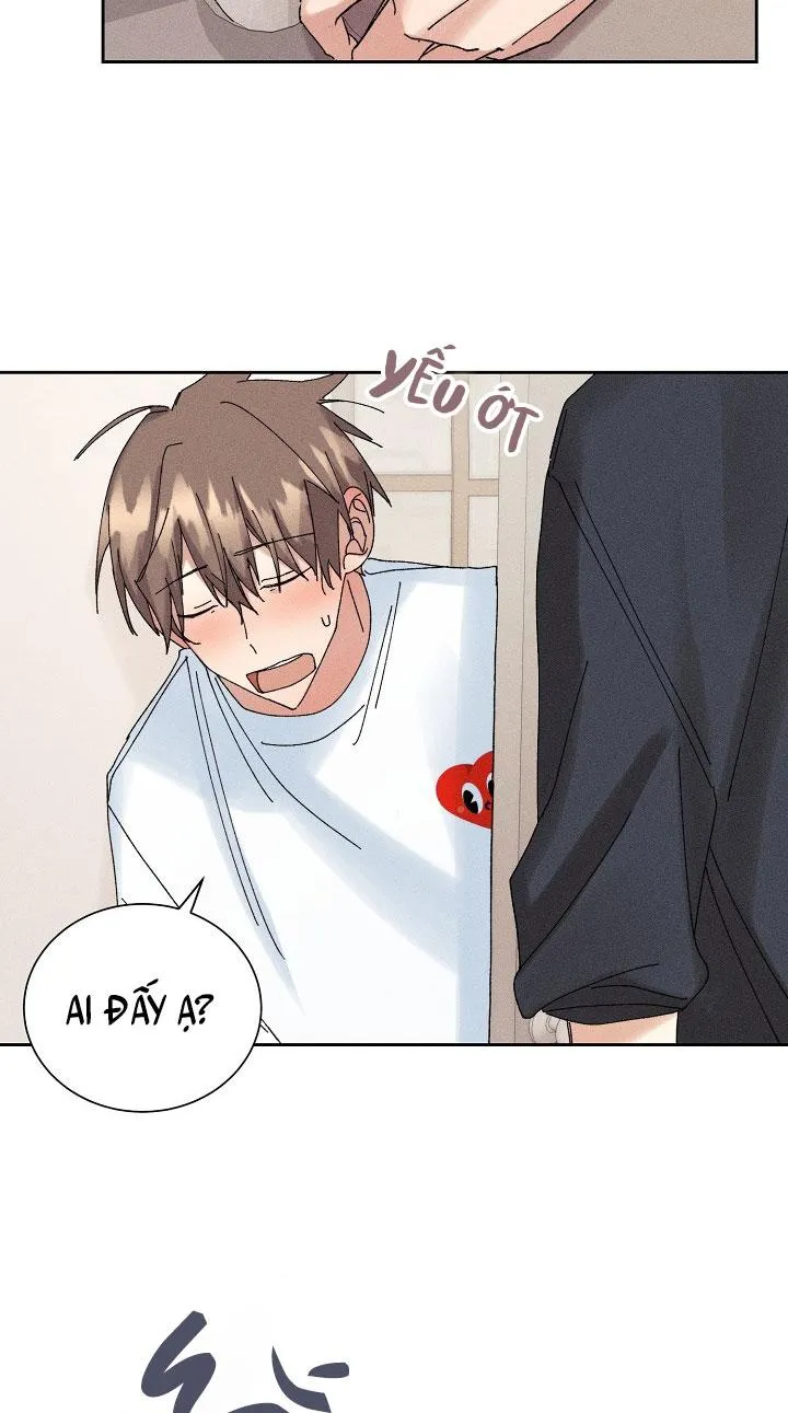 BỘ NHỚ GIẢ DƯỢC Chapter 14 Trang 67