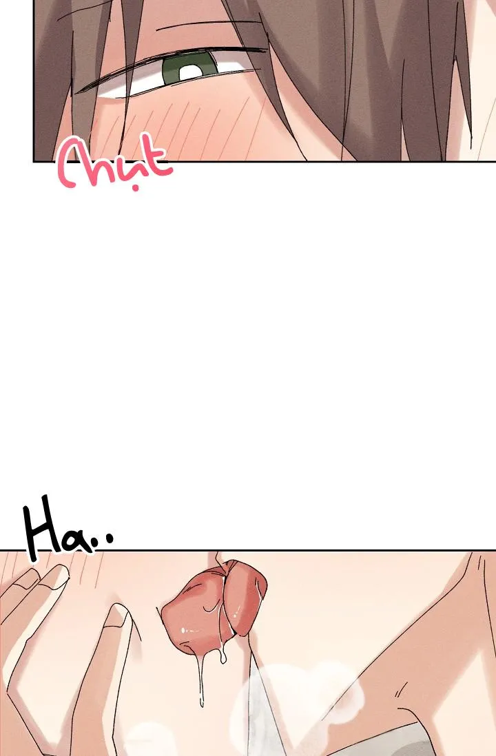 BỘ NHỚ GIẢ DƯỢC Chapter 15 Trang 26