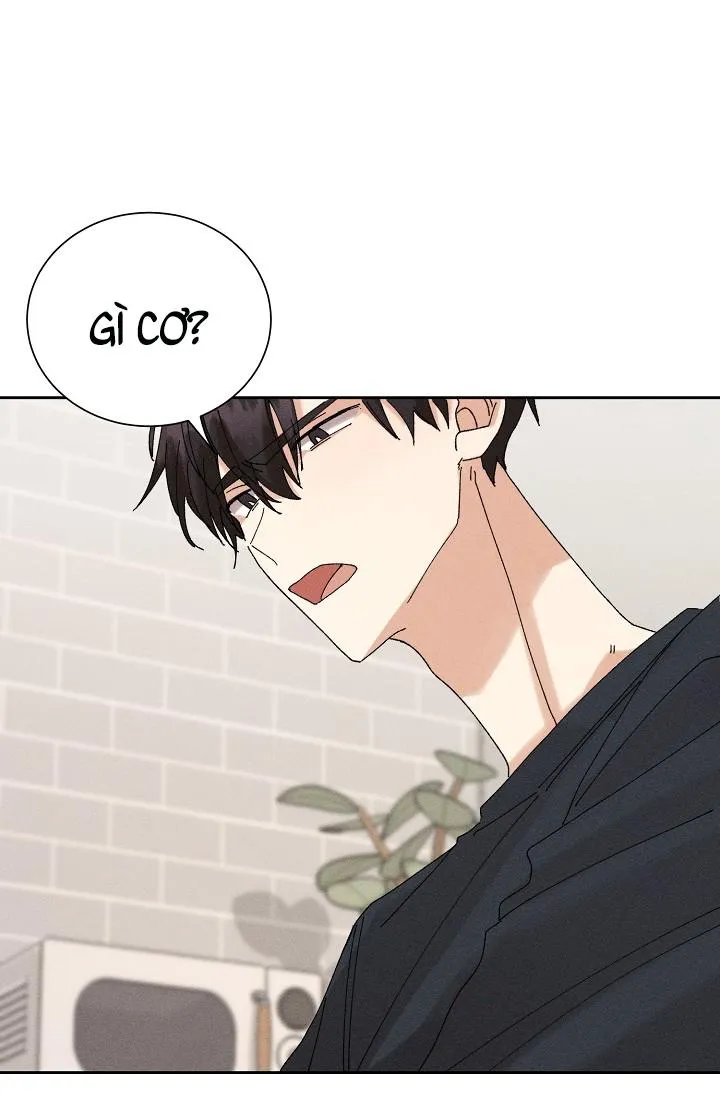 BỘ NHỚ GIẢ DƯỢC Chapter 15 Trang 34