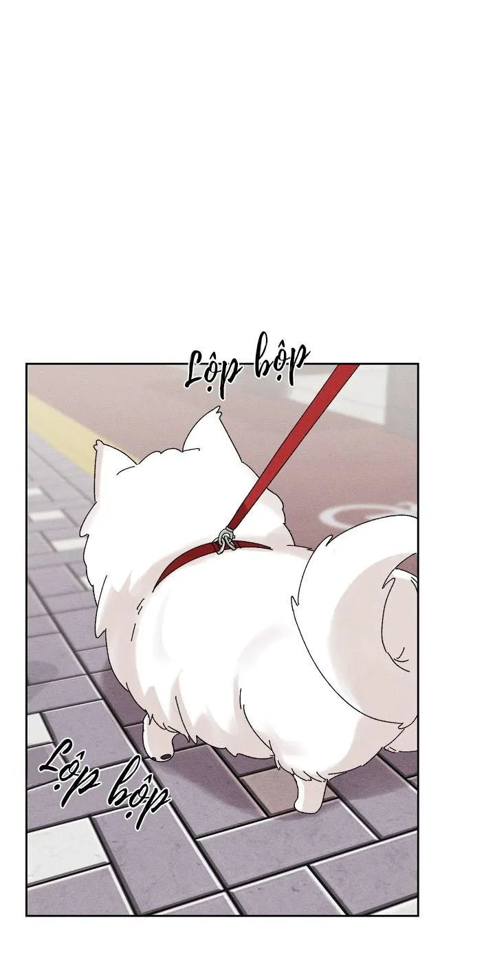 BỘ NHỚ GIẢ DƯỢC Chapter 17 Trang 54