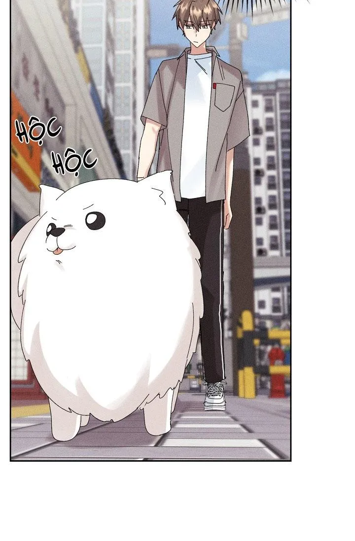 BỘ NHỚ GIẢ DƯỢC Chapter 17 Trang 57