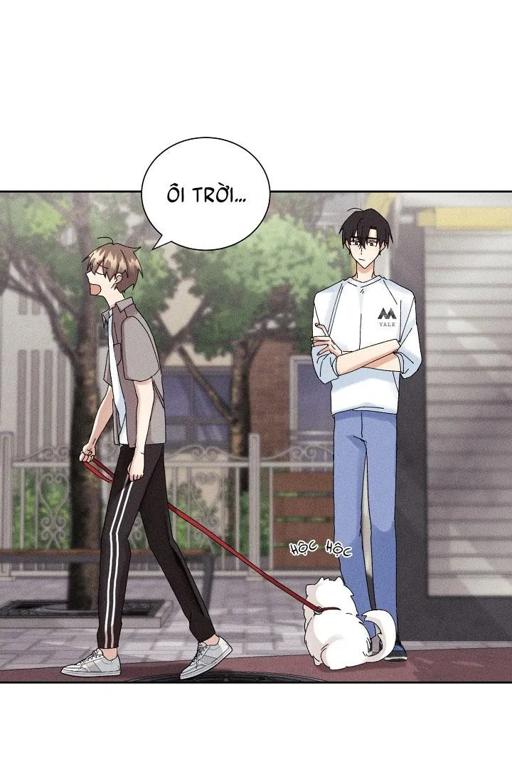 BỘ NHỚ GIẢ DƯỢC Chapter 17 Trang 58