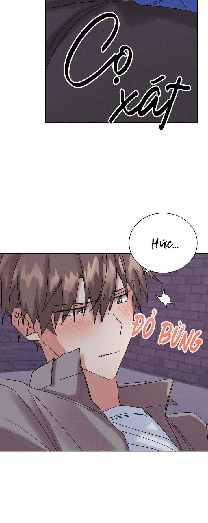 BỘ NHỚ GIẢ DƯỢC Chapter 20 Trang 40