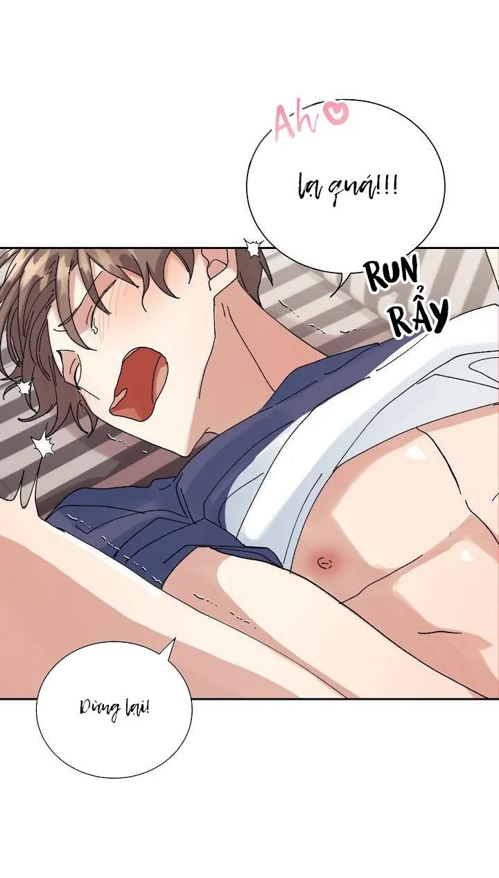 BỘ NHỚ GIẢ DƯỢC Chapter 21 Trang 33