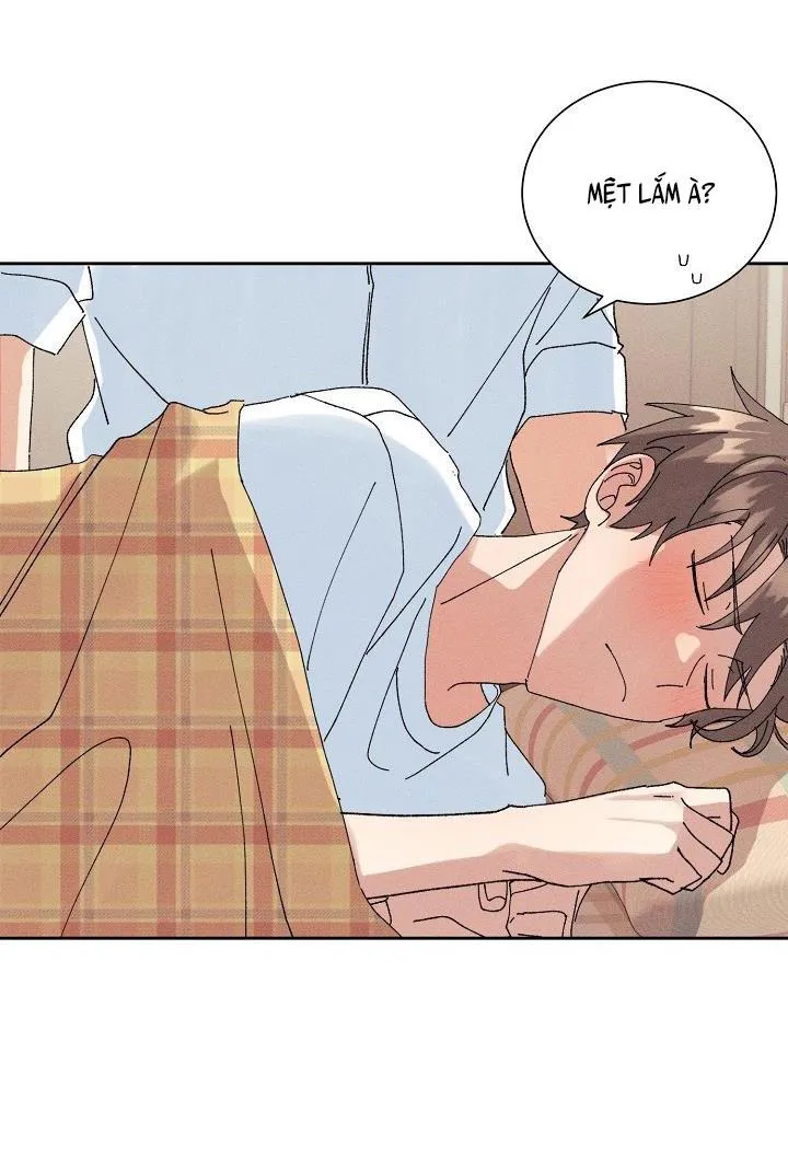 BỘ NHỚ GIẢ DƯỢC Chapter 21 Trang 55