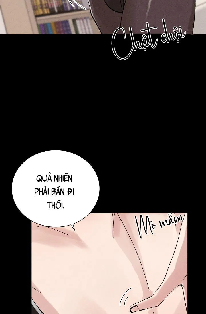 BỘ NHỚ GIẢ DƯỢC Chapter 27 Trang 16