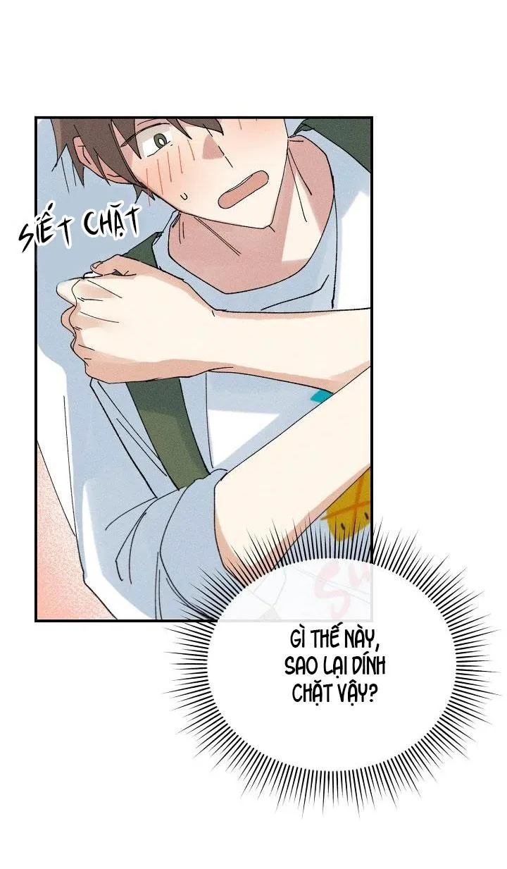 BỘ NHỚ GIẢ DƯỢC Chapter 3 Trang 15