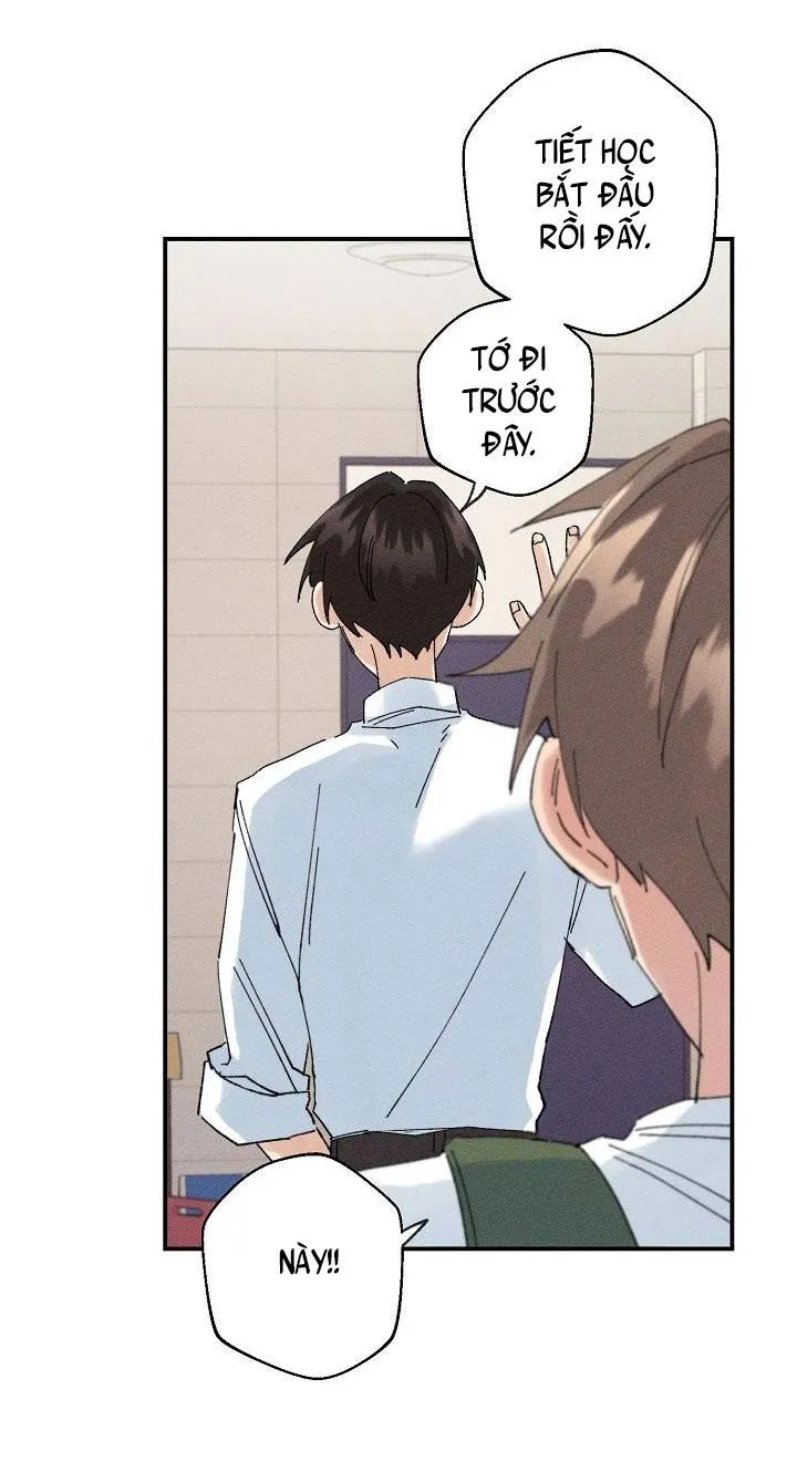 BỘ NHỚ GIẢ DƯỢC Chapter 3 Trang 36