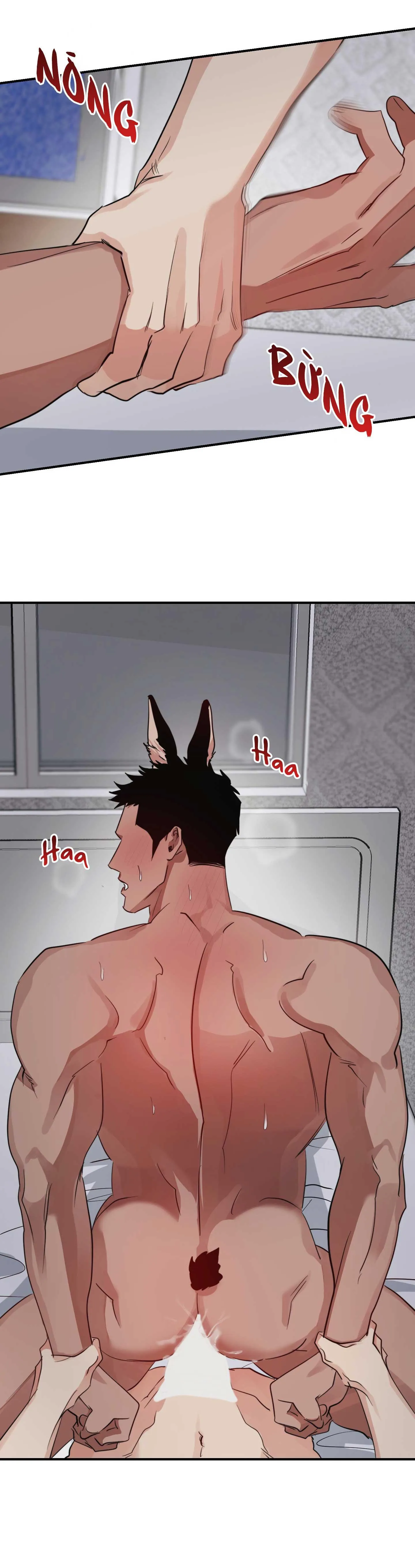 BỘ SƯU TẬP CIU TO-NGỰC BỰ CỦA NHÀ SẸC Chapter 18 Trang 12