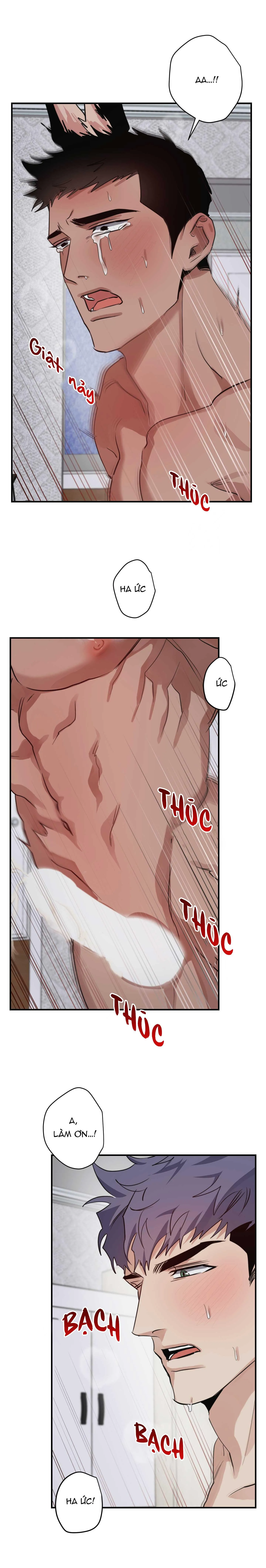 BỘ SƯU TẬP CIU TO-NGỰC BỰ CỦA NHÀ SẸC Chapter 18 Trang 16