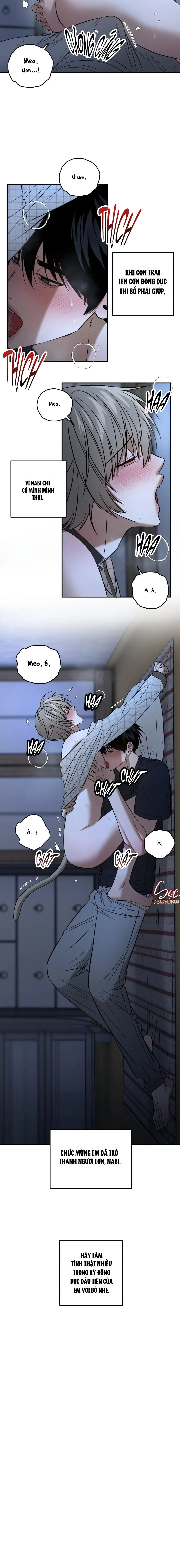 BỐ VÀ TÔI Chapter 4 Trang 6