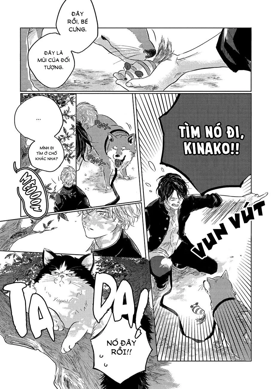 Bokura No Tsuzuki Chapter 5 Trang 13