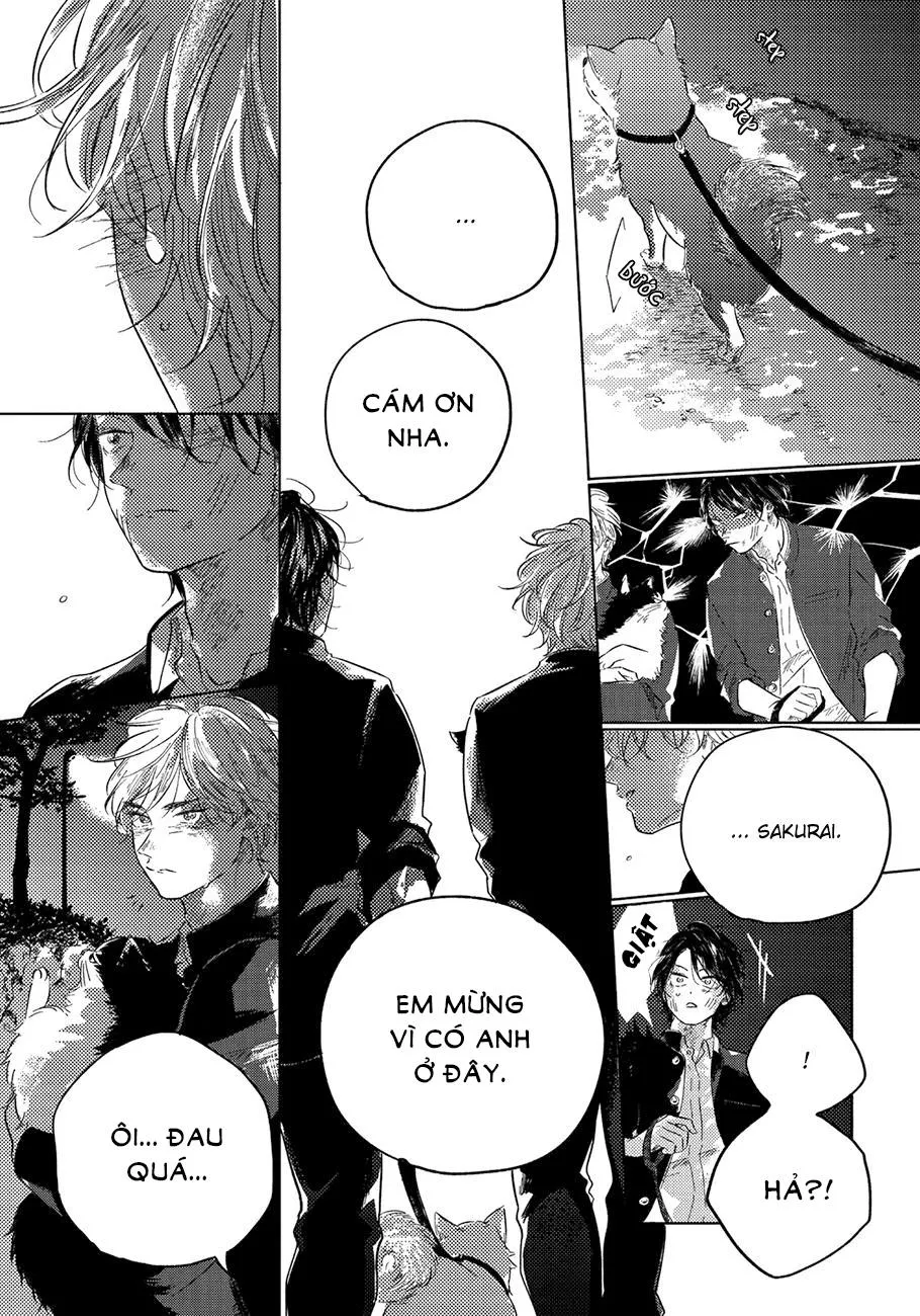 Bokura No Tsuzuki Chapter 5 Trang 19