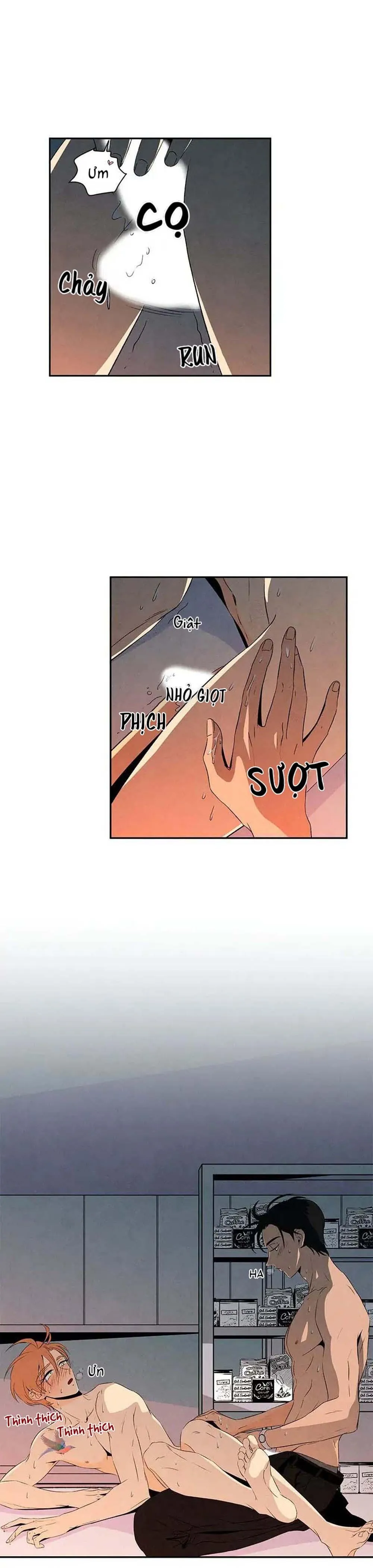 Bona Sort (END) Chapter 11 Trang 3