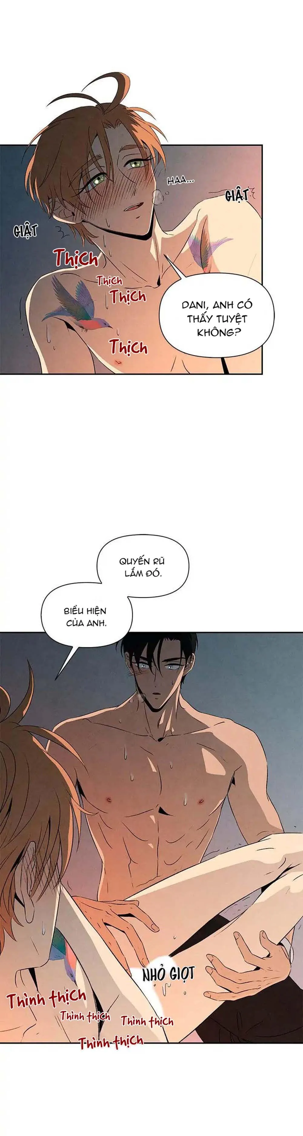 Bona Sort (END) Chapter 11 Trang 5